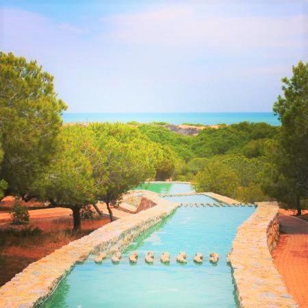 Apartment With Pool, Sea Views & Balcony Less Than 10Min Walk To La Mata Beach! Torrevieja Zewnętrze zdjęcie