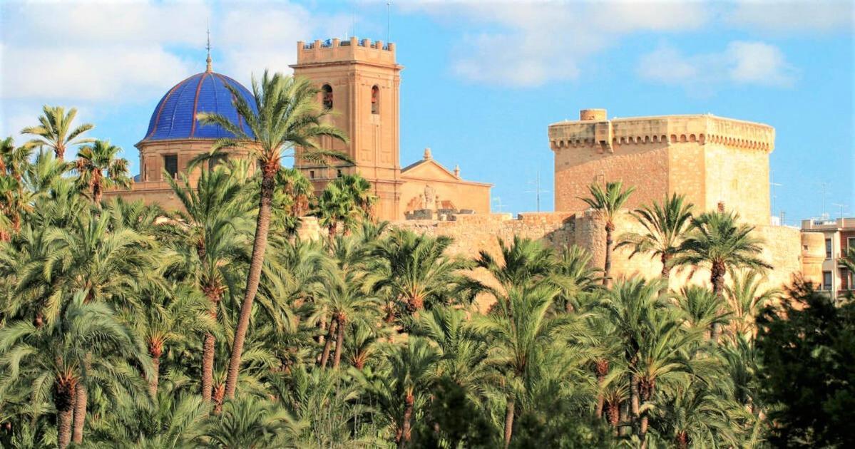 Apartment With Pool, Sea Views & Balcony Less Than 10Min Walk To La Mata Beach! Torrevieja Zewnętrze zdjęcie